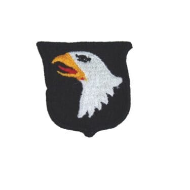 101st airborne patch ins1613
