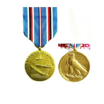american campaign medal ins1407