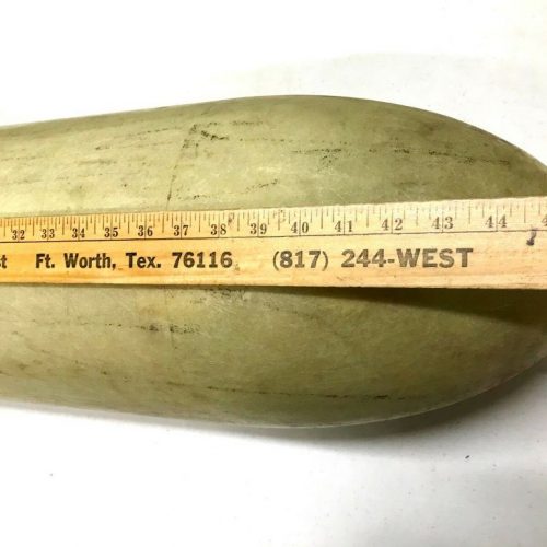 antennae radome msc1596 2