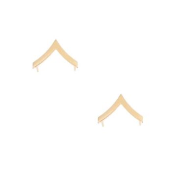 army pin on collar rank e 2 pvt
