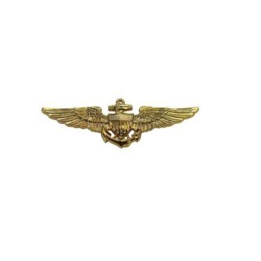 navy pilots wings ins1310