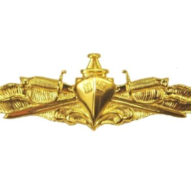 navy surface warfare insignia ins2220