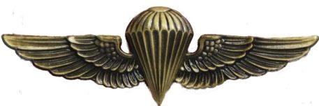 usmc recon jump wings ins1384 3