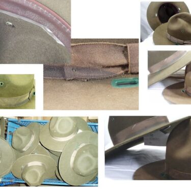 p 29826 hed2403 Campaign Hat drill Instructor smokey Bear lg 2