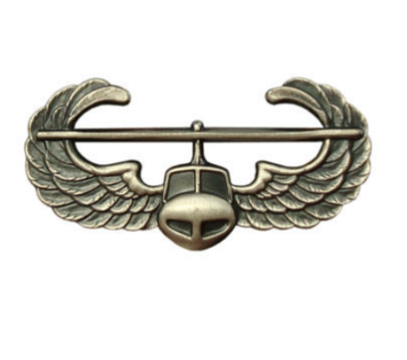 Army Badge Air Assault Wings