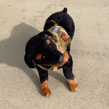 k 9 molle tactical dog vest clg2884 2