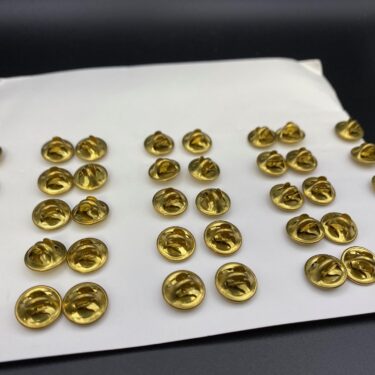 officer candidate insignia gold pair ins3273 (4)